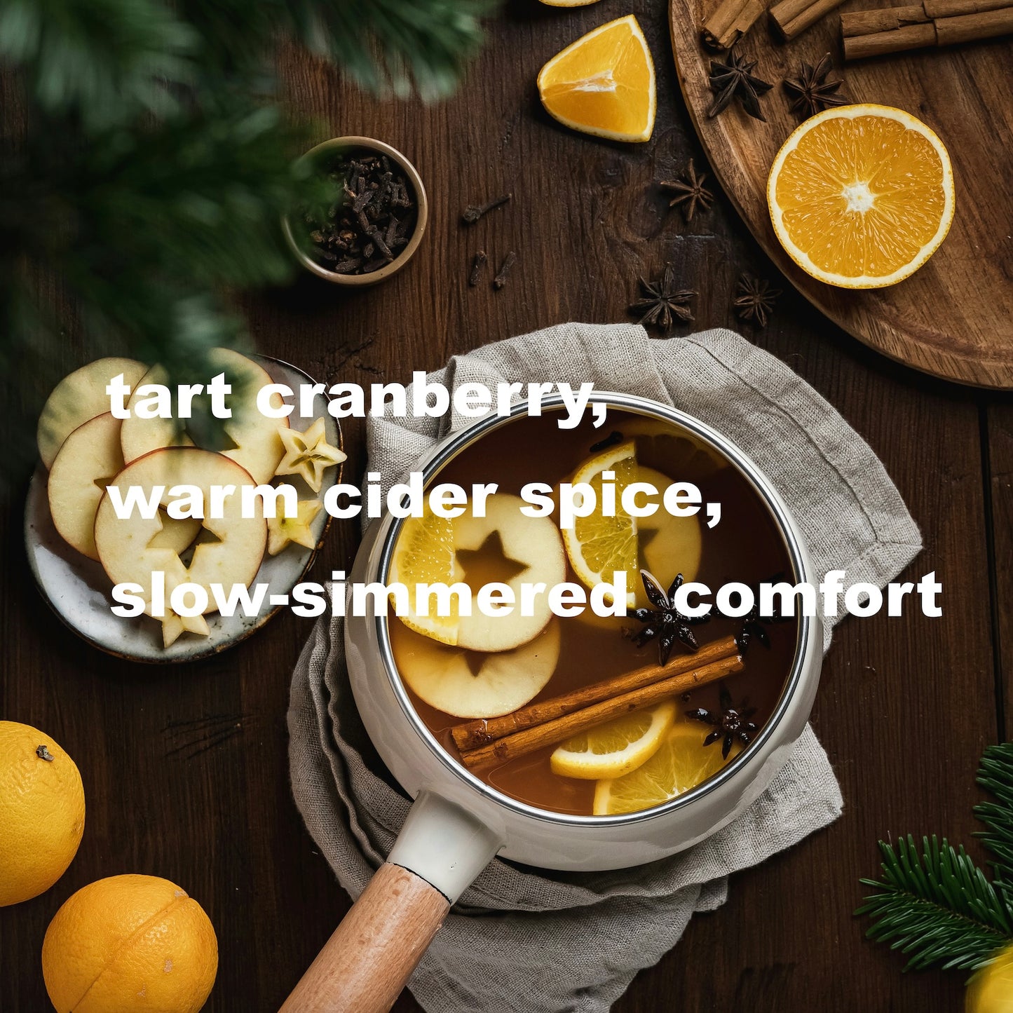 Spiced Cranberry Cider